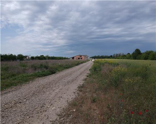 CASE LA ROSU, FOCSANI