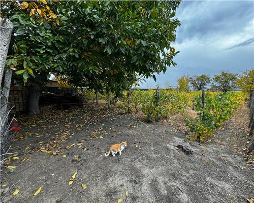 CASA DE VANZARE ODOBESTI (ZONA DE VILE)